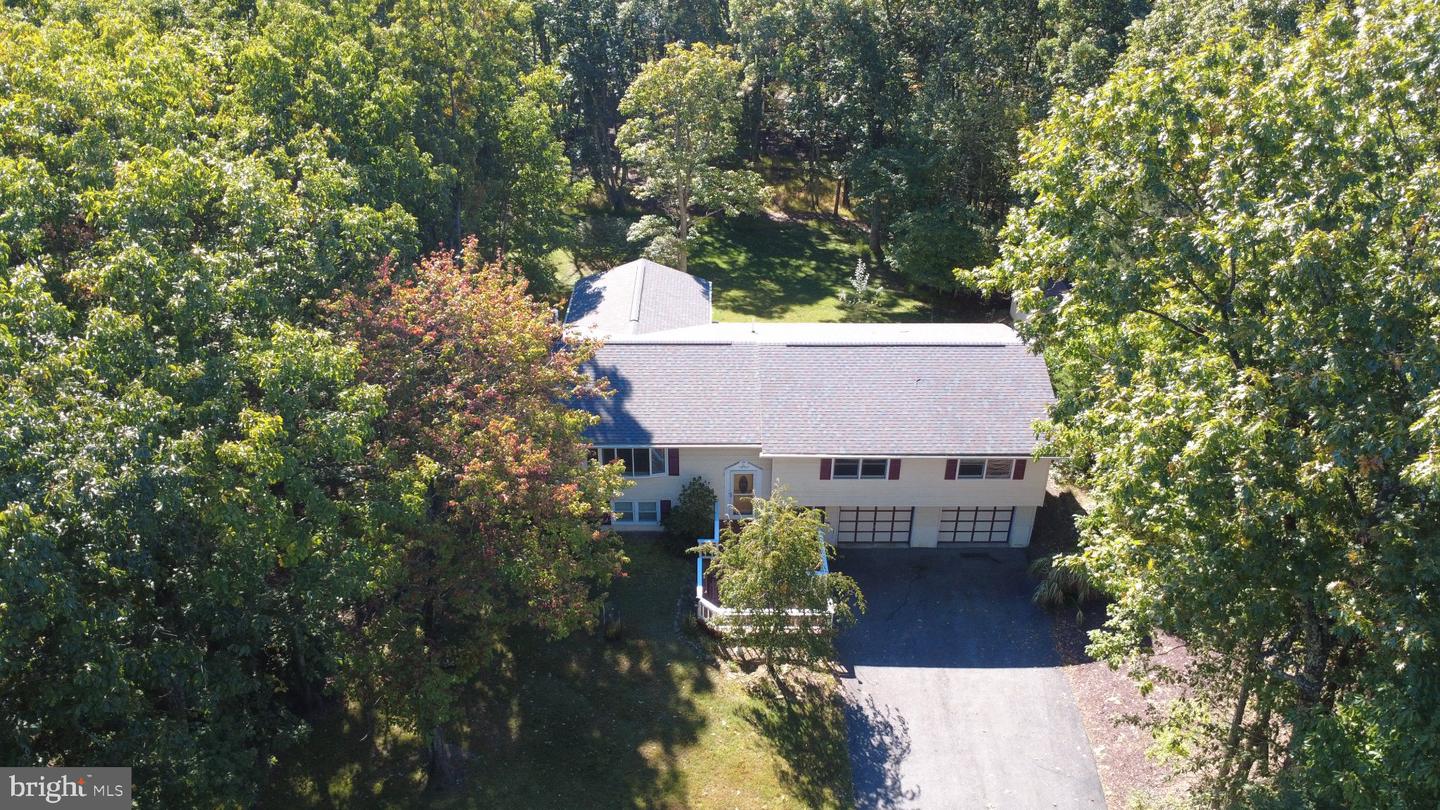 224 Tree Top Ter Property Photo 38
