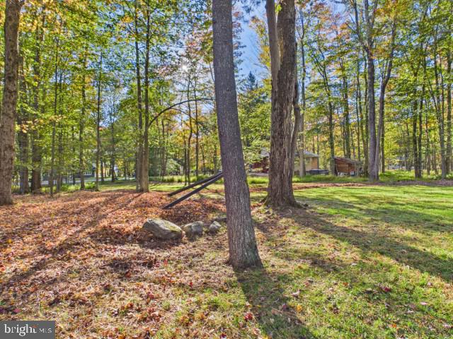 5125 Cresco Dr Property Photo 38