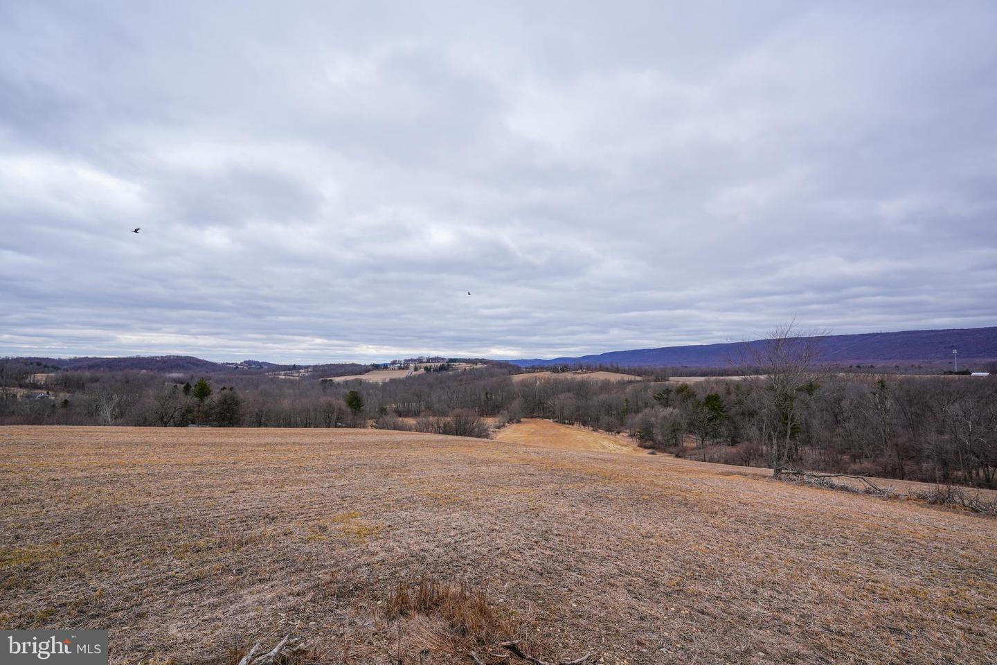 2929 Derhammer Rd Property Photo
