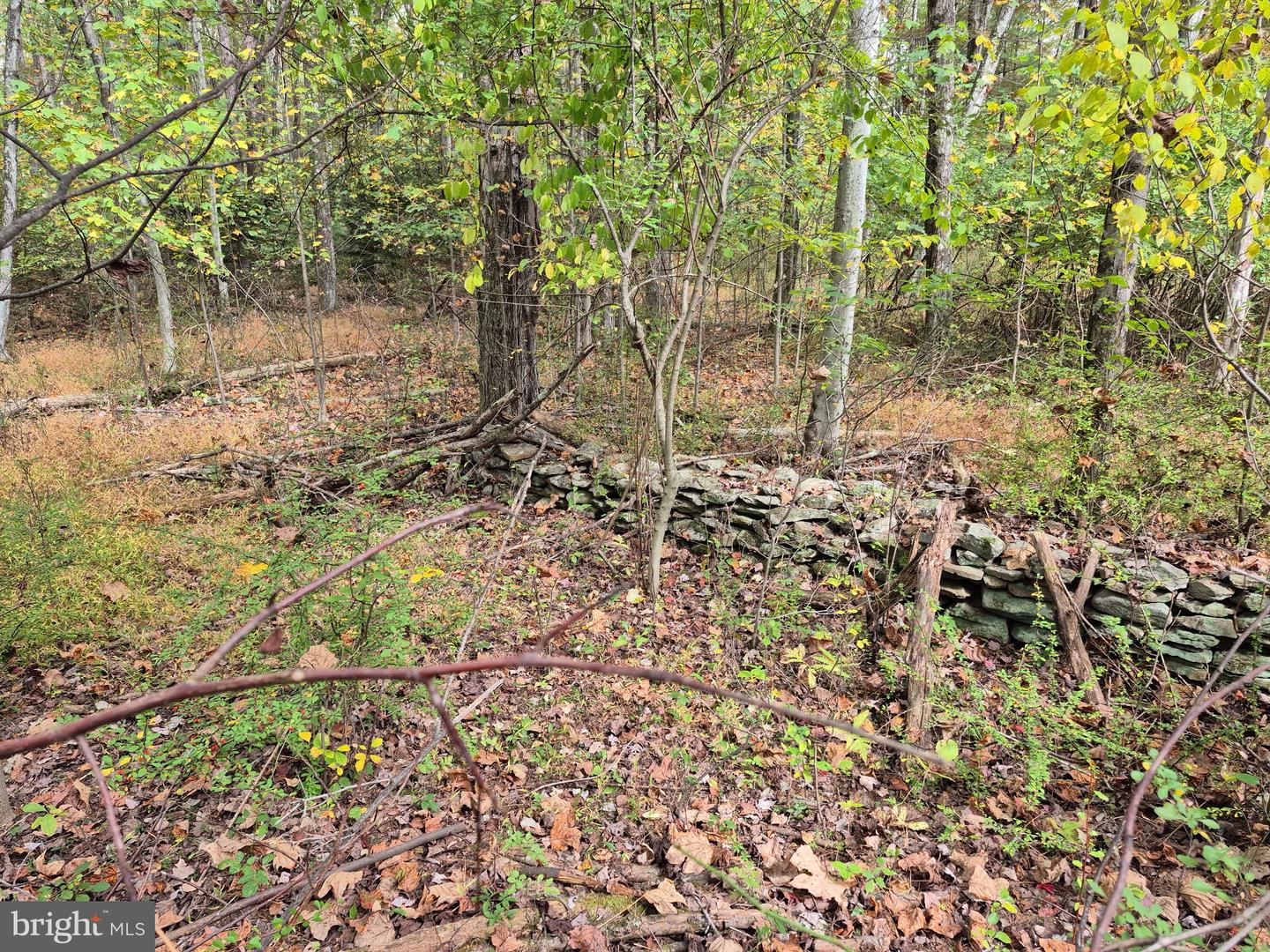 Millheim Rd Property Photo 4