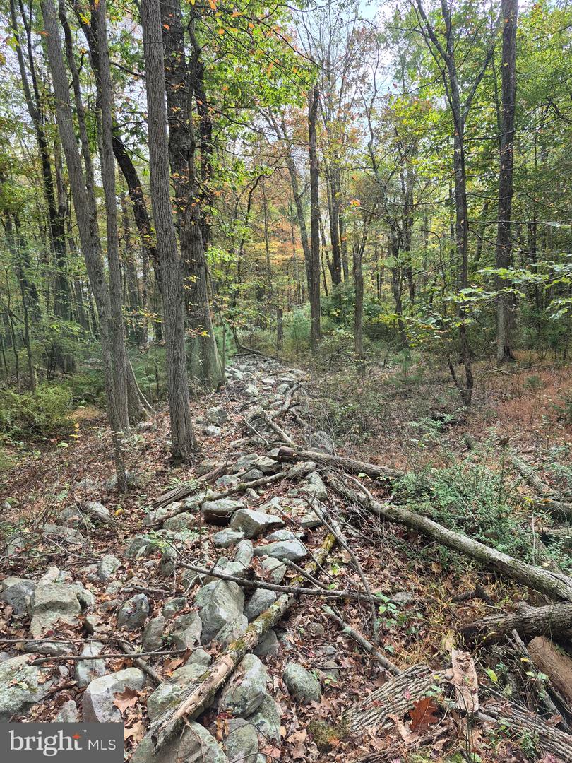 Millheim Rd Property Photo 6
