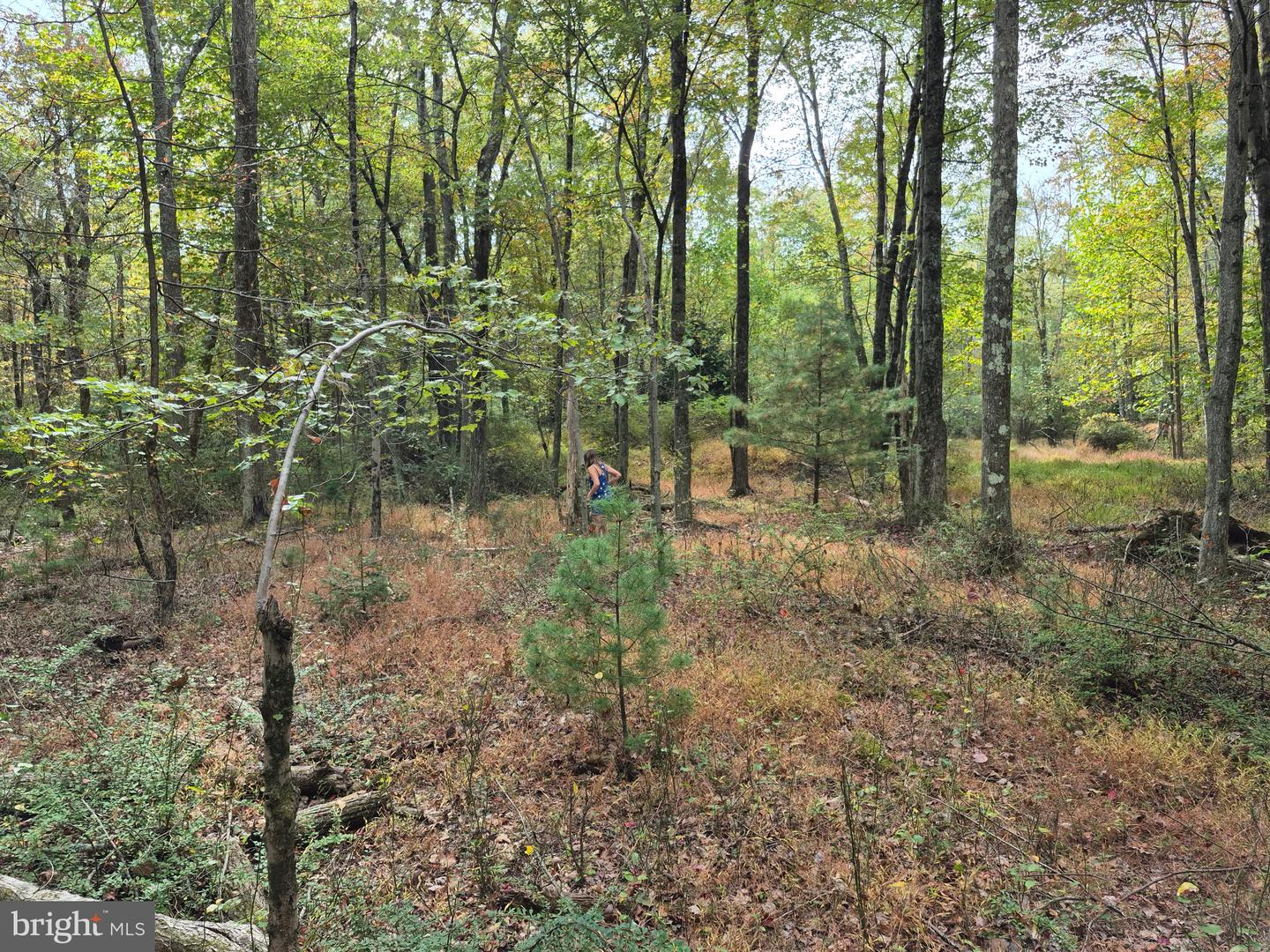 Millheim Rd Property Photo 7