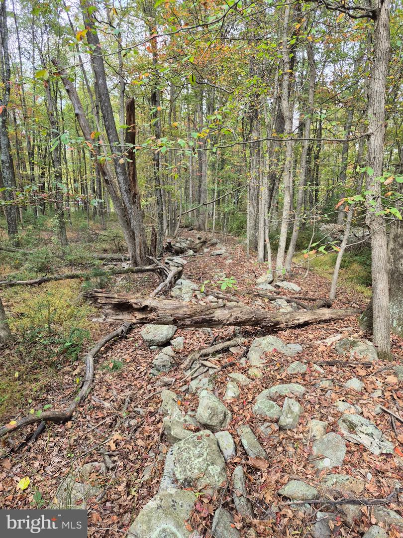 Millheim Rd Property Photo 9