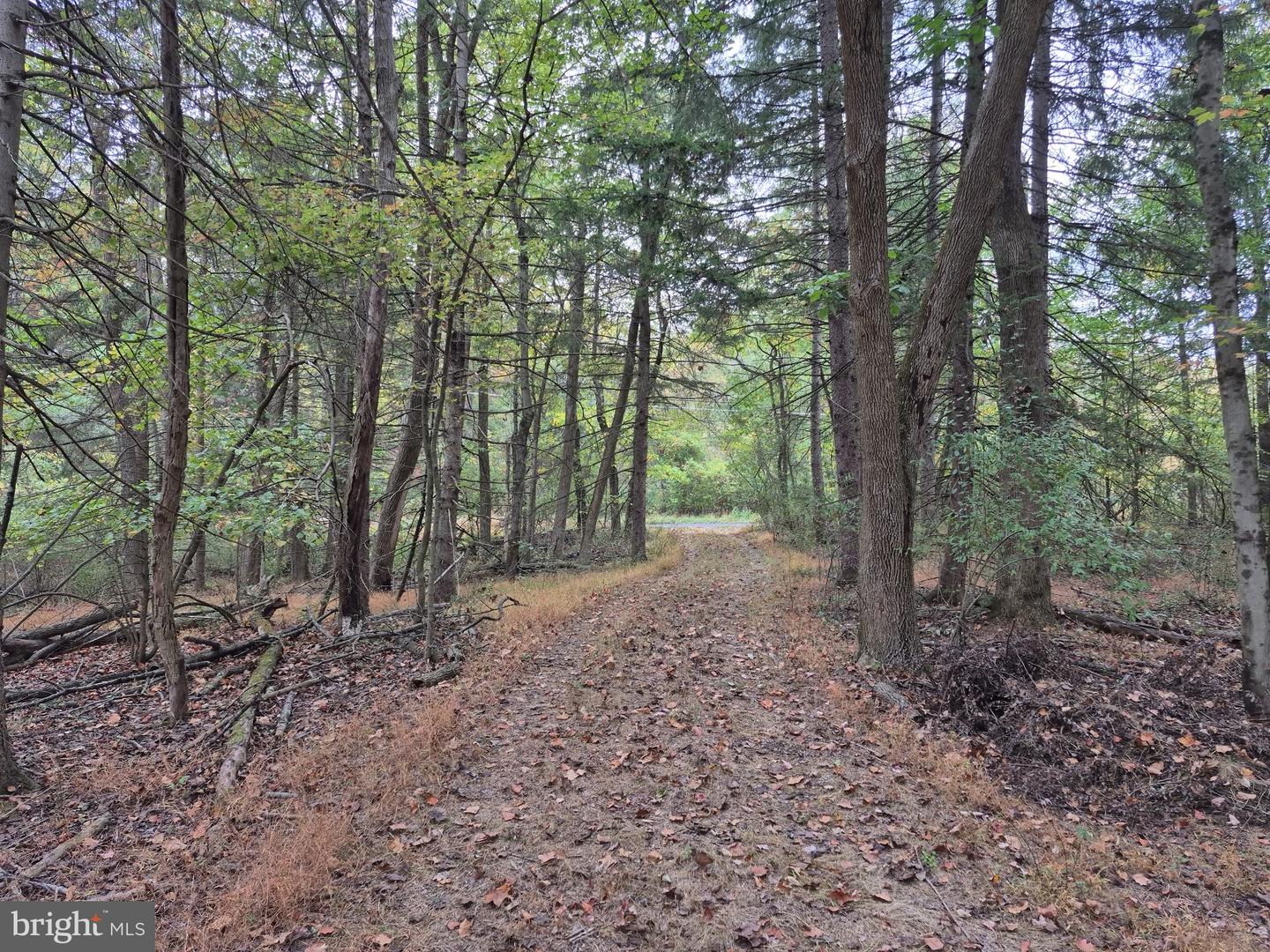 Millheim Rd Property Photo 10