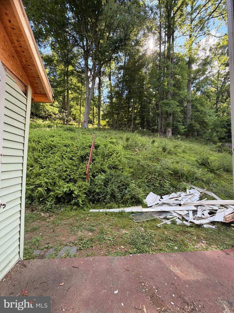4192 River Rd Property Photo 17