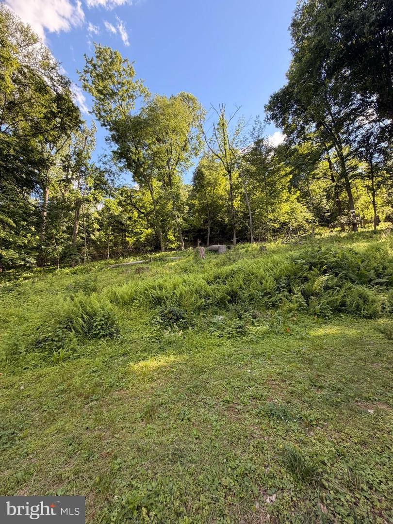 4192 River Rd Property Photo 22