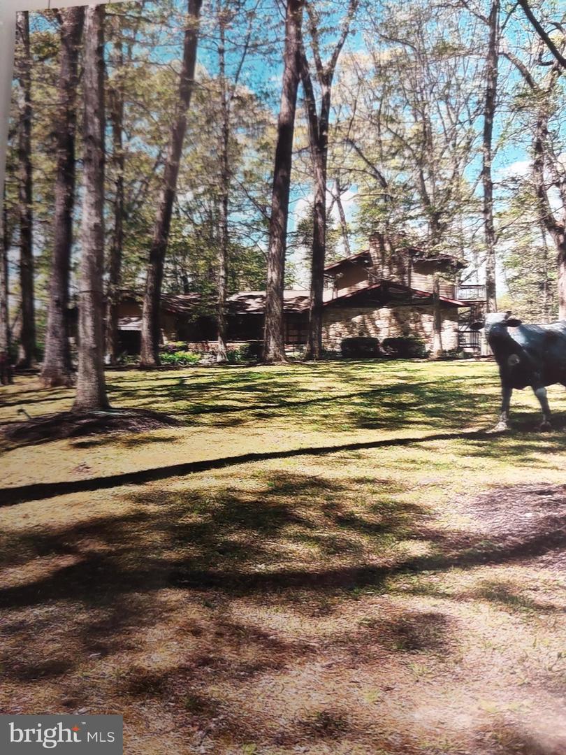 3725 Oakland Rd Property Photo 6