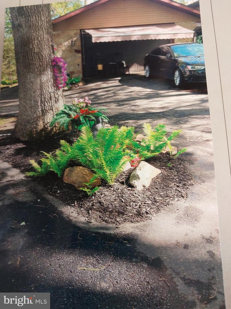 3725 Oakland Rd Property Photo 19