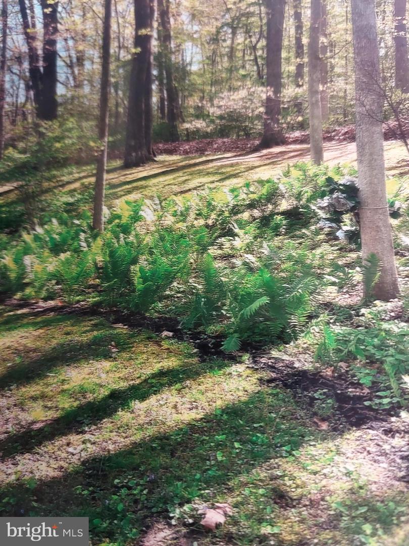3725 Oakland Rd Property Photo 43