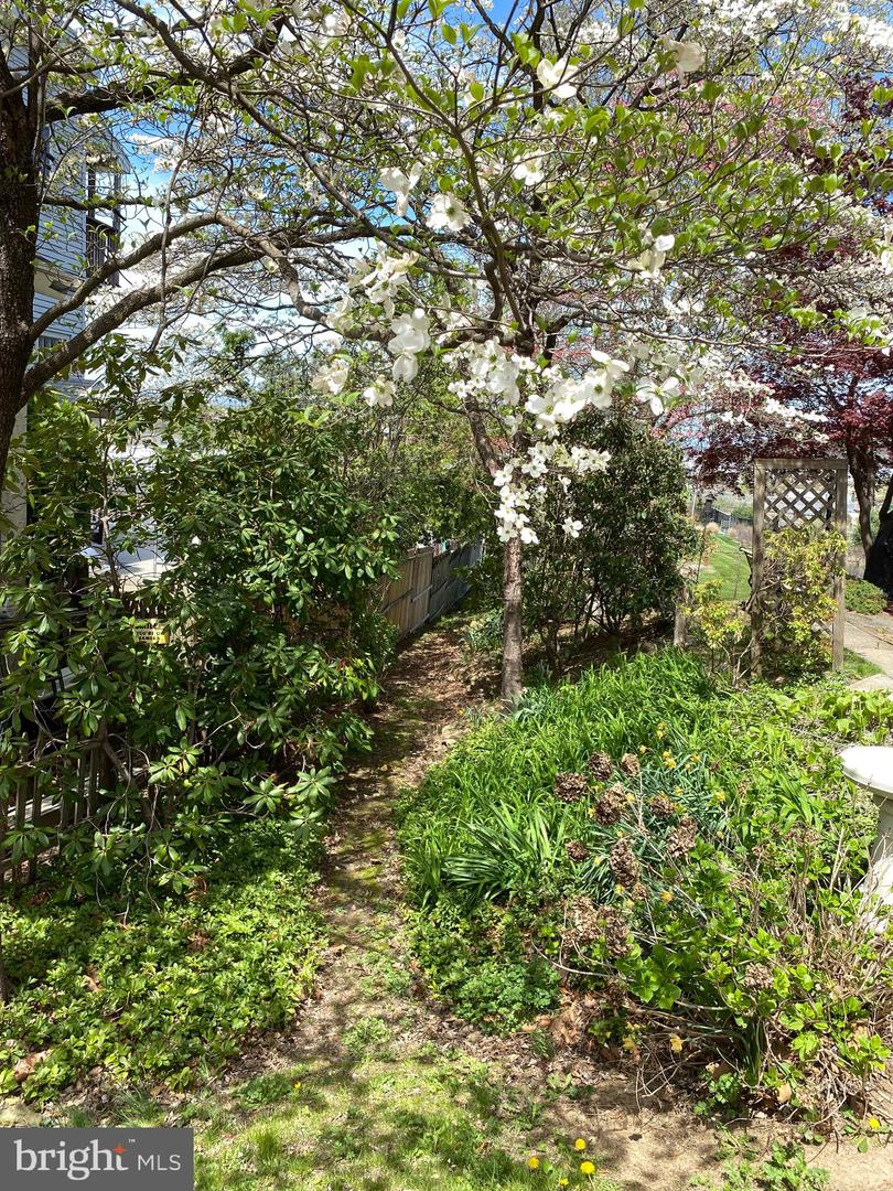333 Crest Ave Property Photo 25