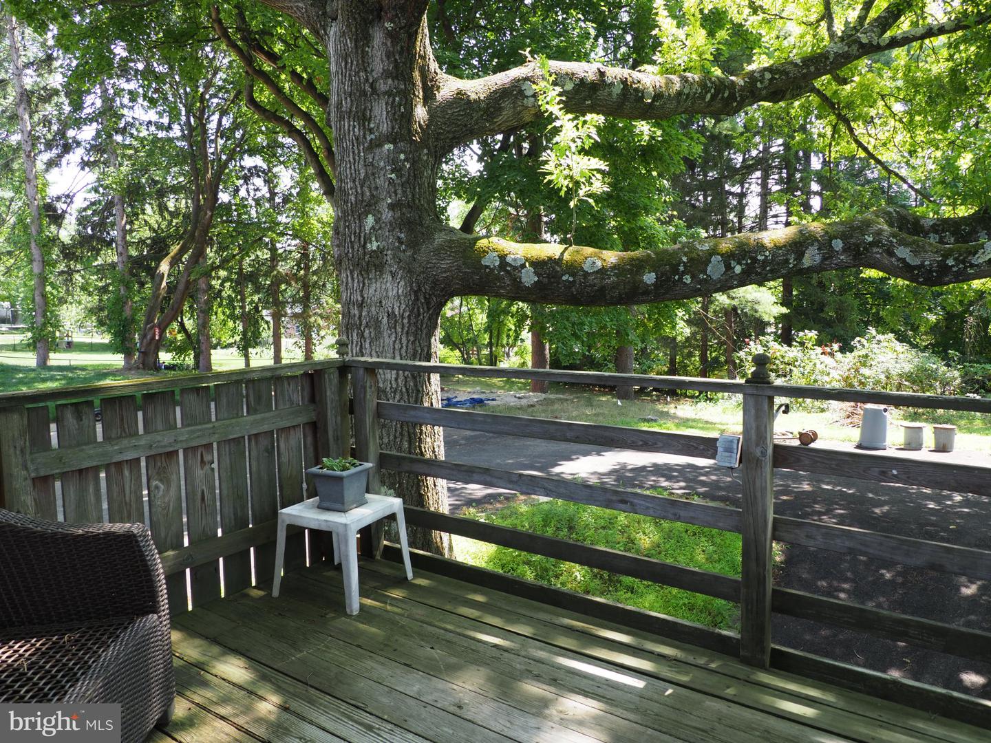 1688 Pleasant View Rd Property Photo 18