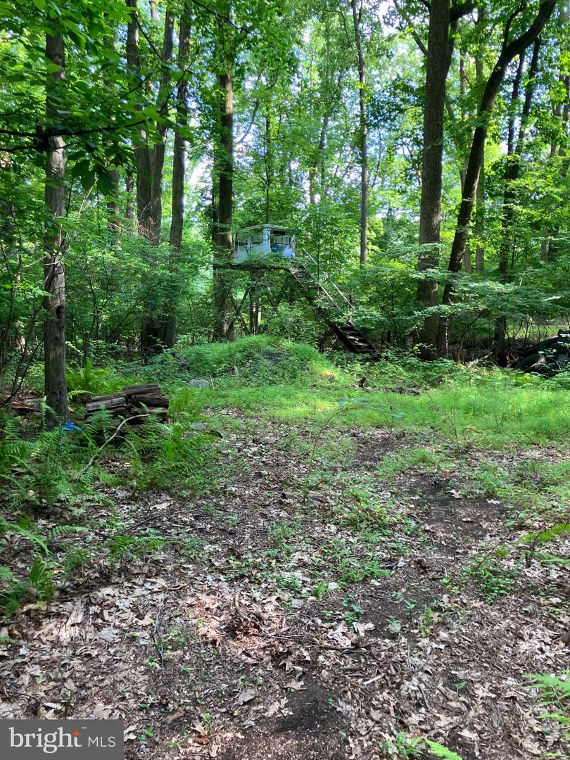 2620 Banko Ln Property Photo 6
