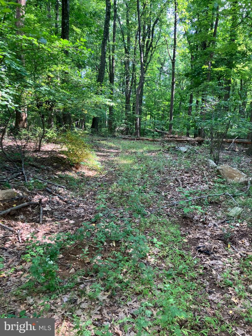 2620 Banko Ln Property Photo 7