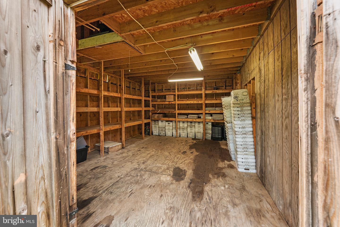 3815 Spear St Property Photo 36