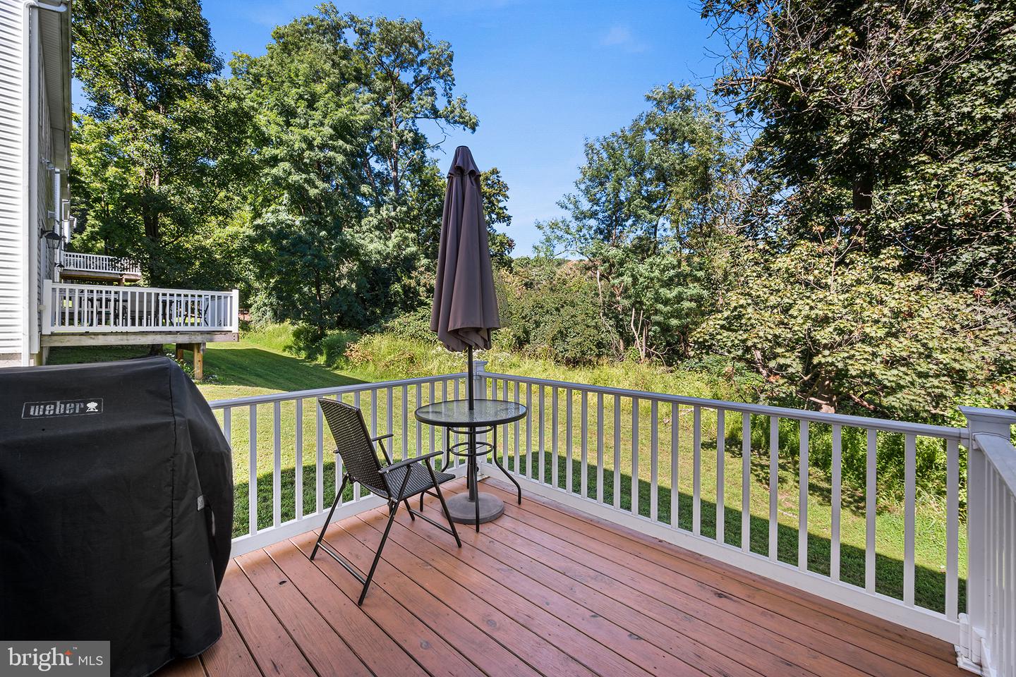 1537 Crest Park Ct Property Photo 29