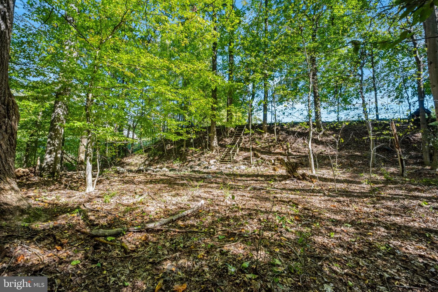 3479 Mango Dr Property Photo 54