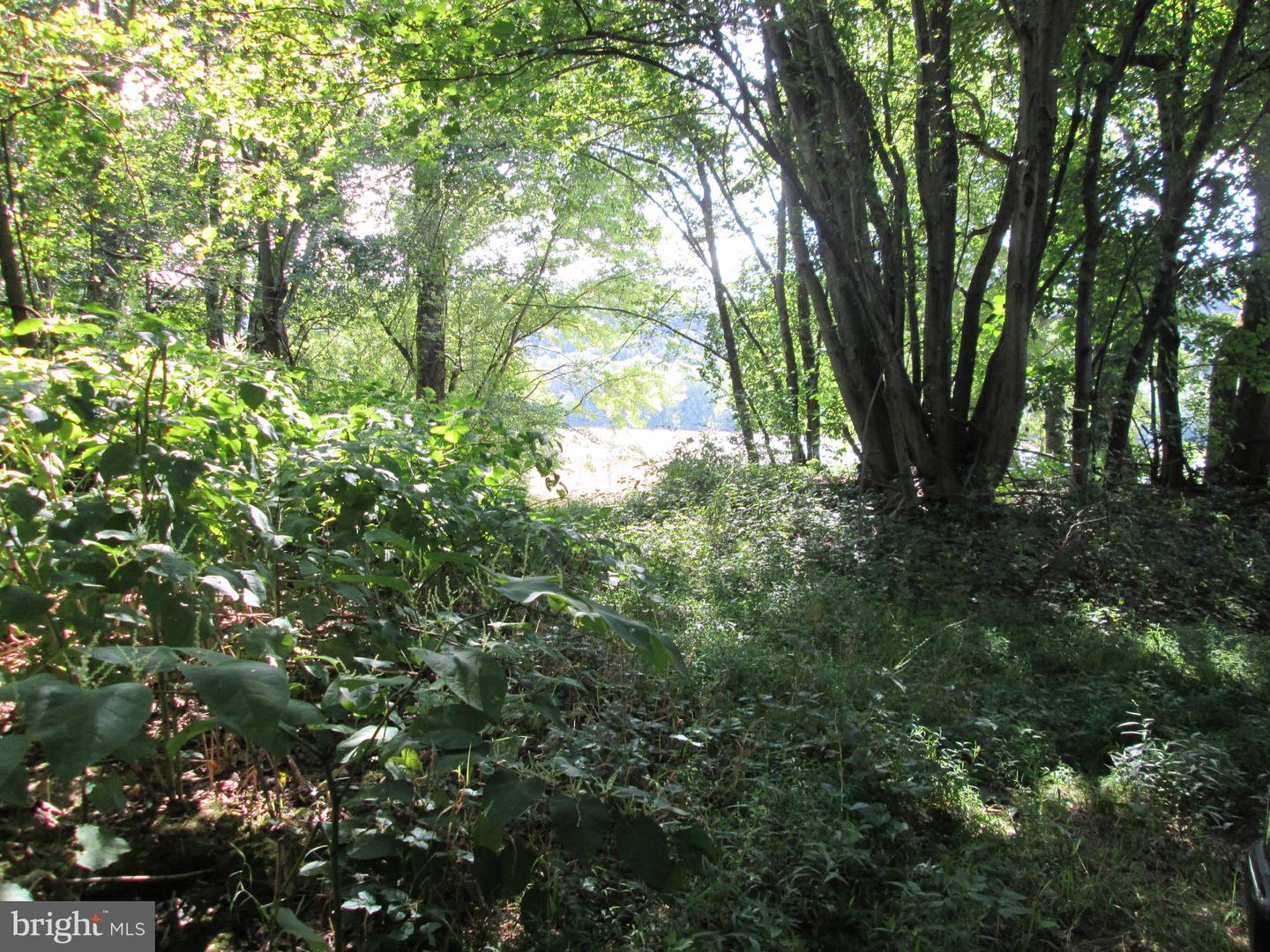 0-rte 11 Point Twp Dr N Property Photo 8