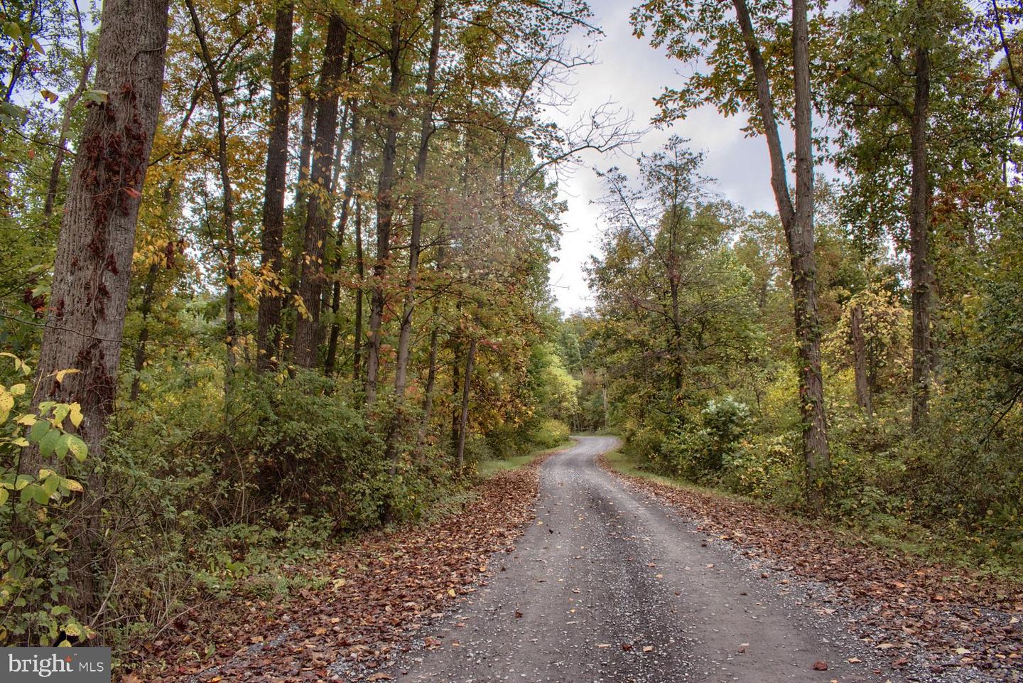 Mountain Road Property Photo 1