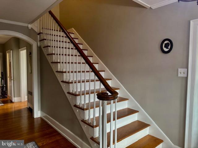127 E Sunbury St Property Photo 29