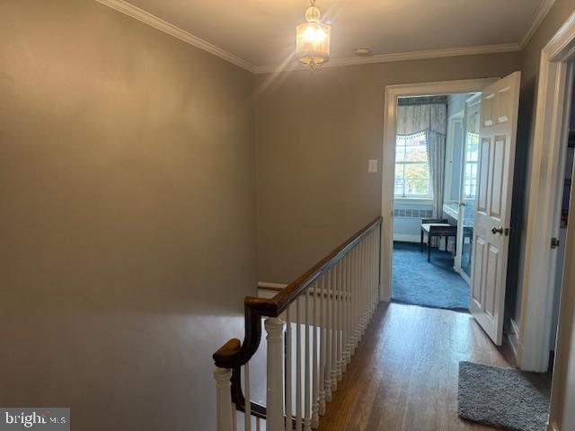 127 E Sunbury St Property Photo 48