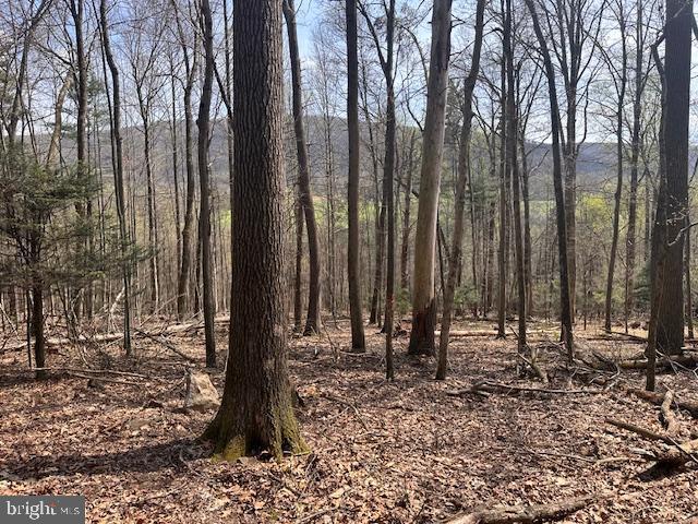 0 Route 225 Property Photo 1