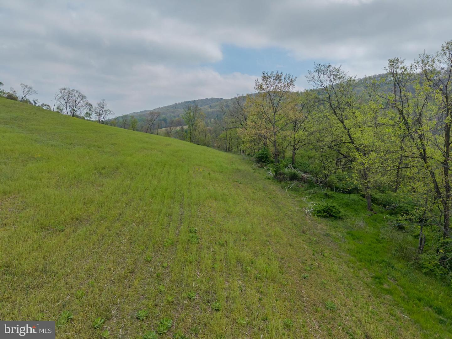 3127 Route 147 Property Photo 4