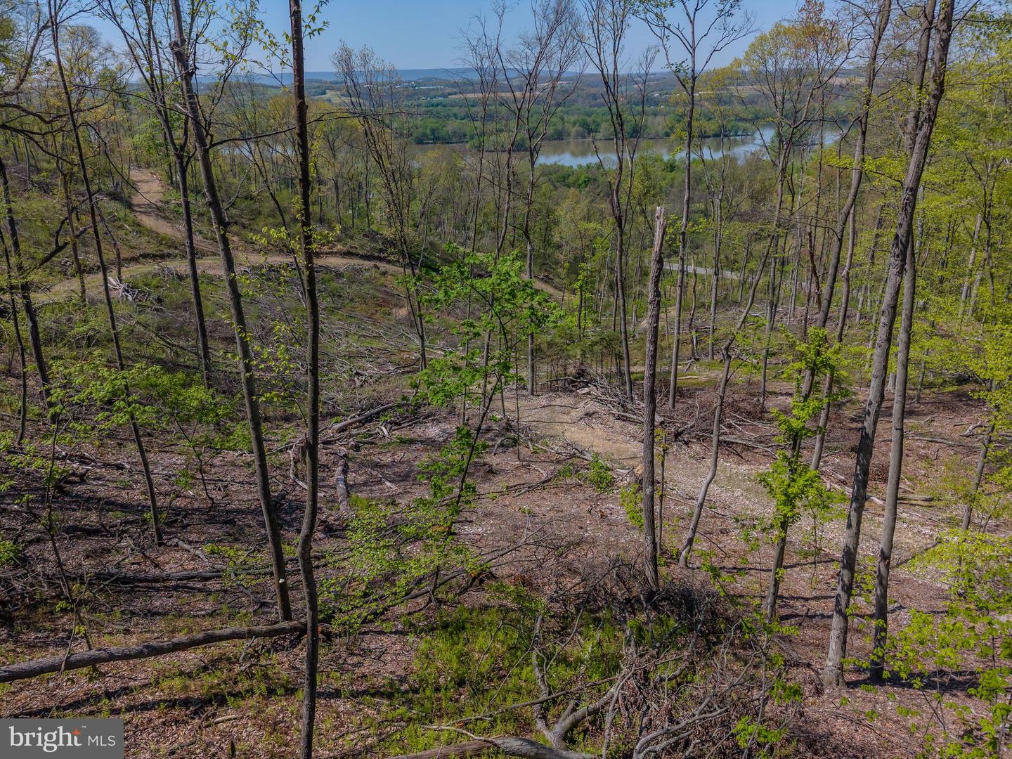 3127 Route 147 Property Photo 11