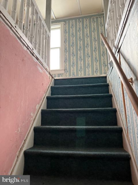 1115 Oak St Property Photo 7
