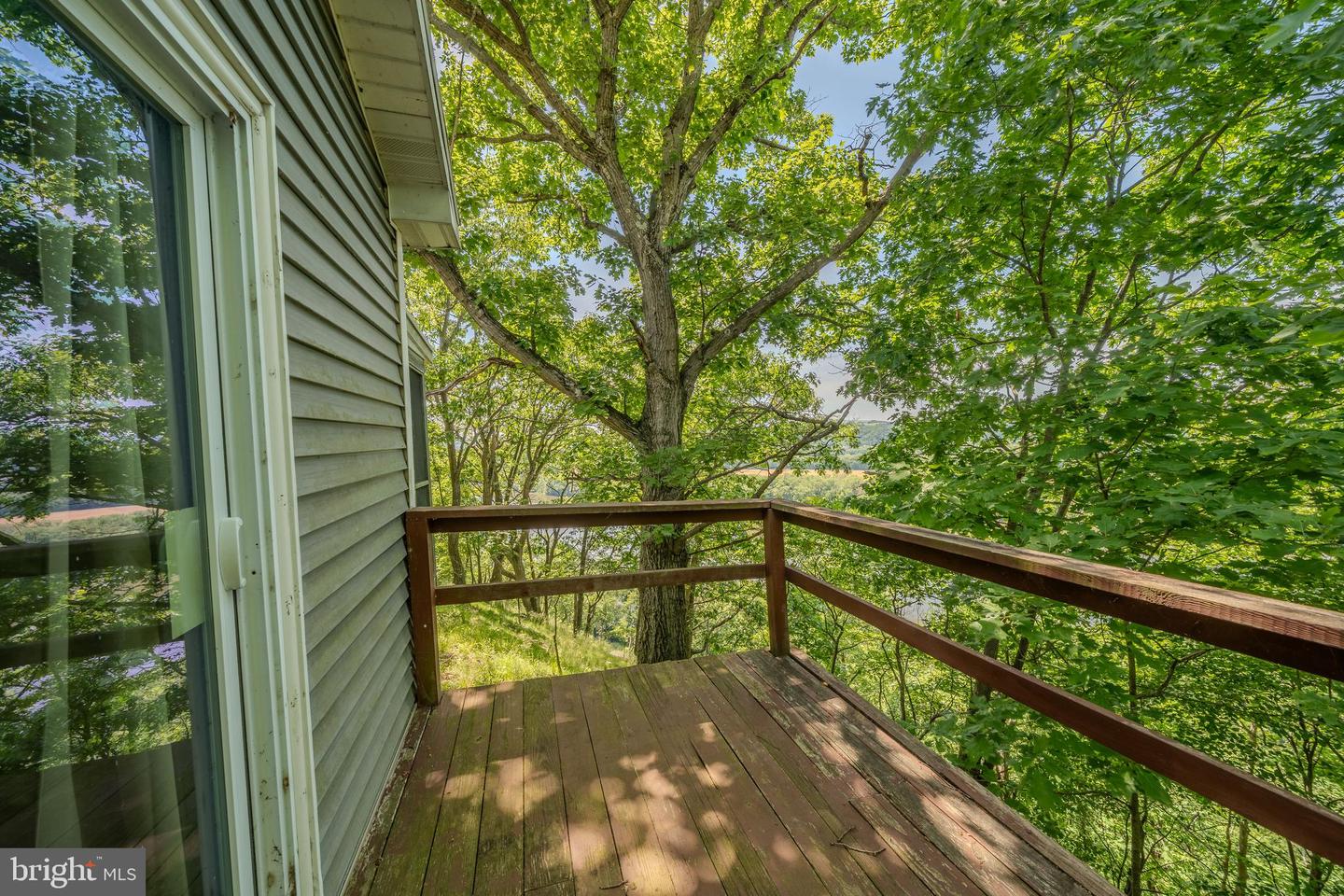 231 Herndon School Ln Property Photo 54
