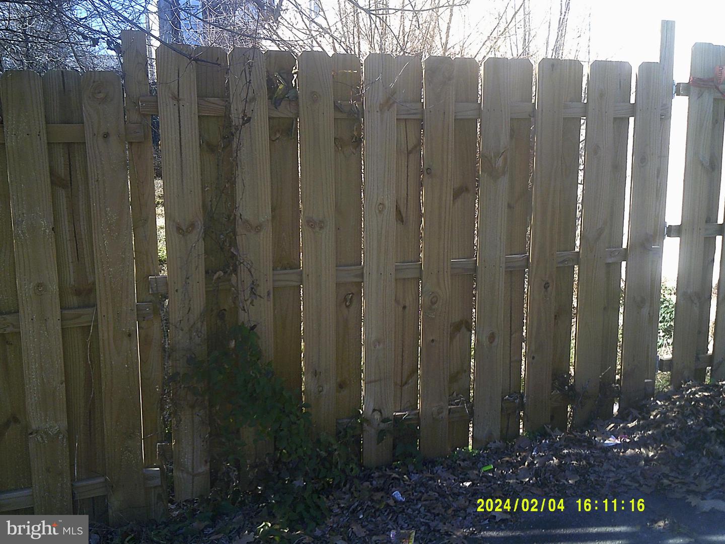 5900 N Marvine St Property Photo 3