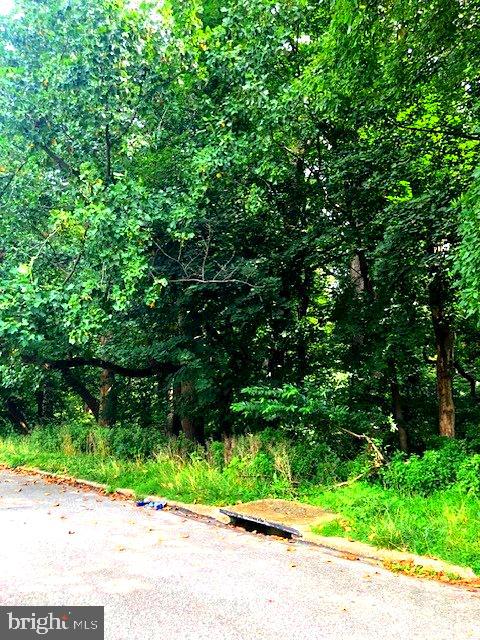 2034 Bergen St #lot #1 Property Photo 2