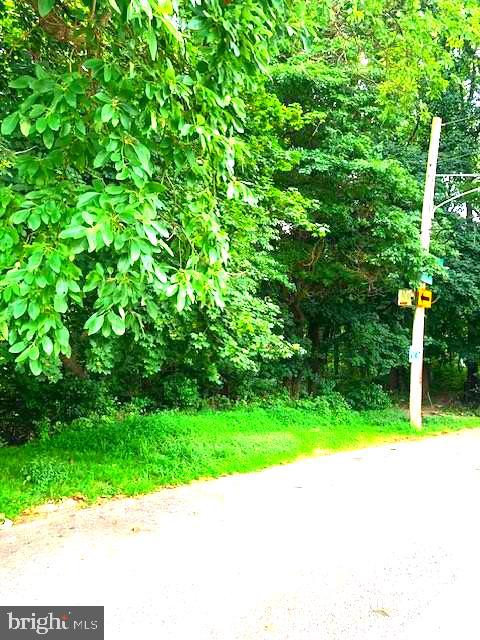 2034 Bergen St #lot #1 Property Photo 4