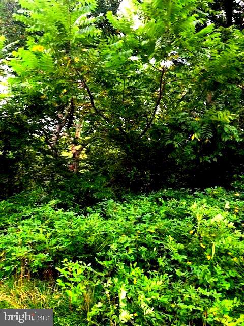 2034 Bergen St #lot #1 Property Photo 7