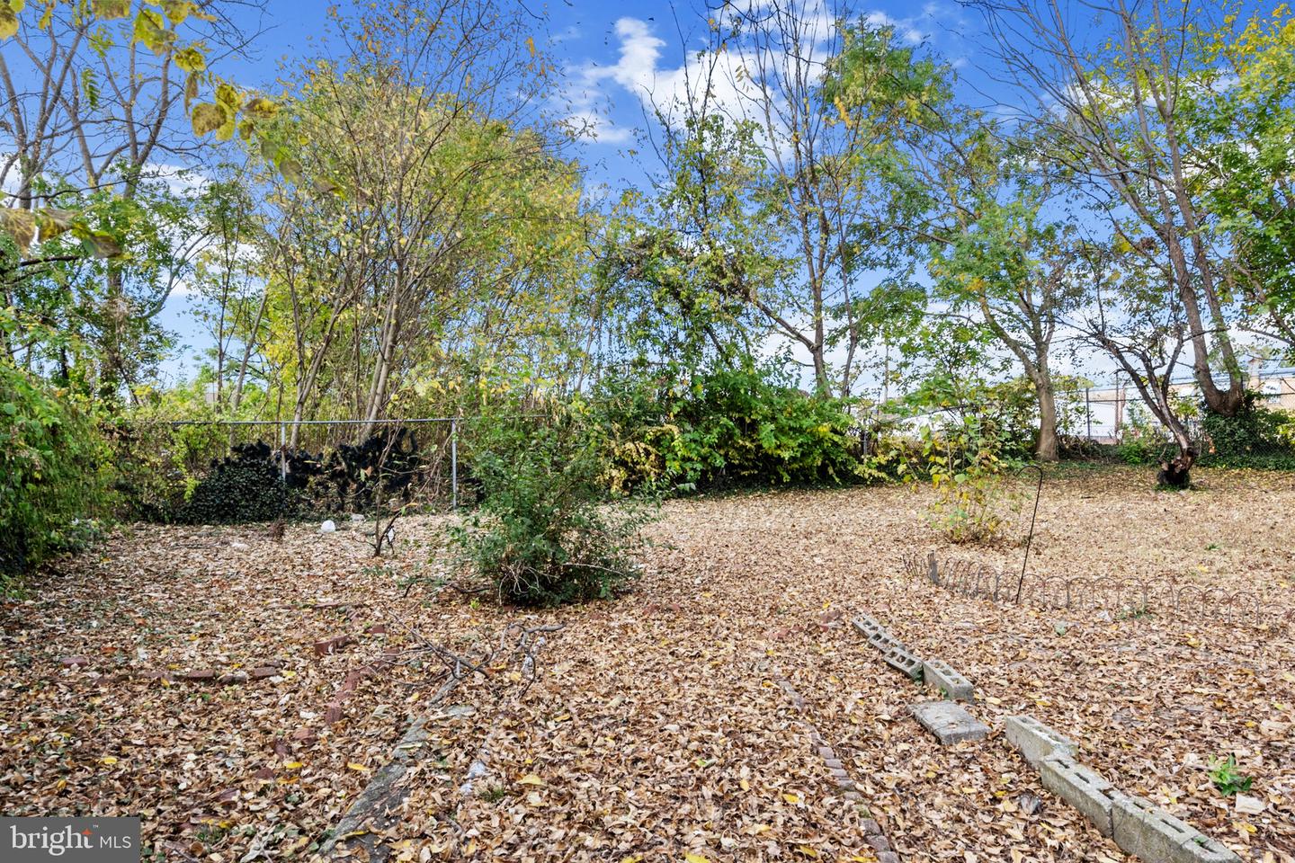 822 N Markoe St Property Photo 9