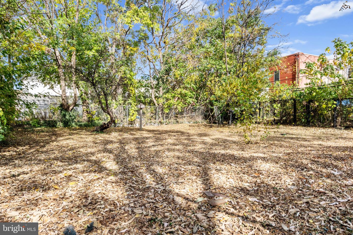 822 N Markoe St Property Photo 15