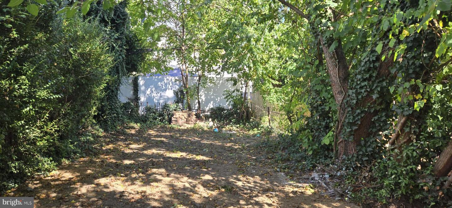 4405 Comly St Property Photo 18