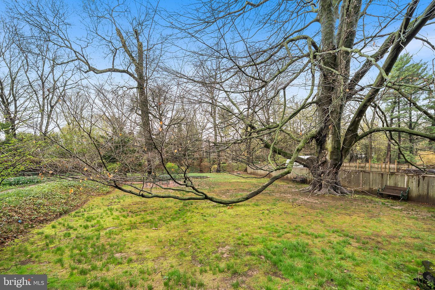 6600 Wissahickon Property Photo 91