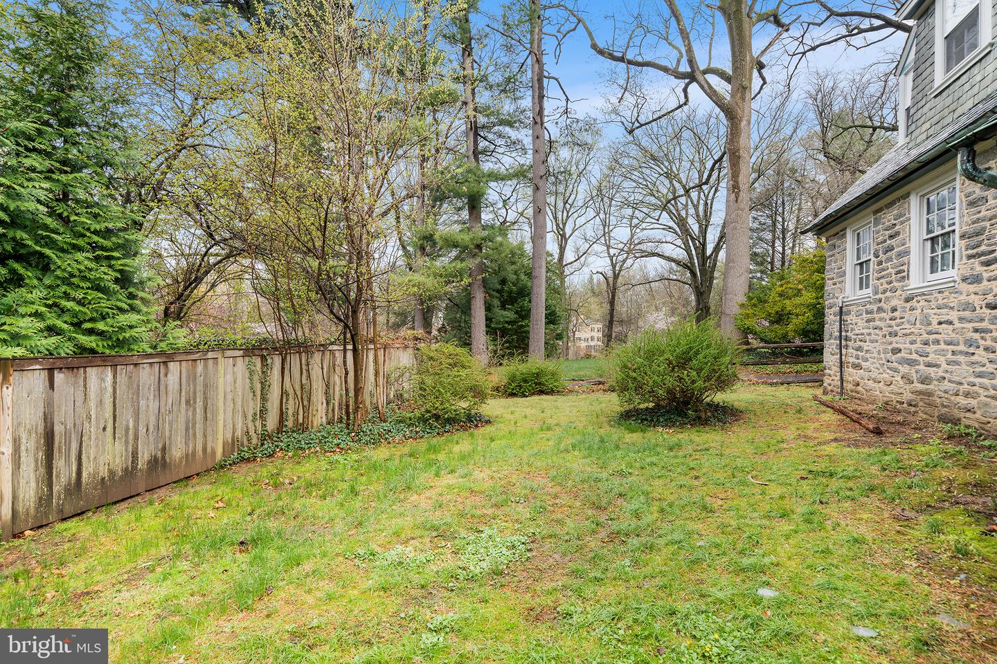 6600 Wissahickon Property Photo 104