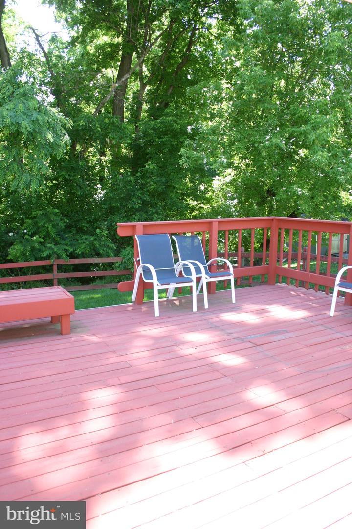8806 Rising Sun Ave Property Photo 48
