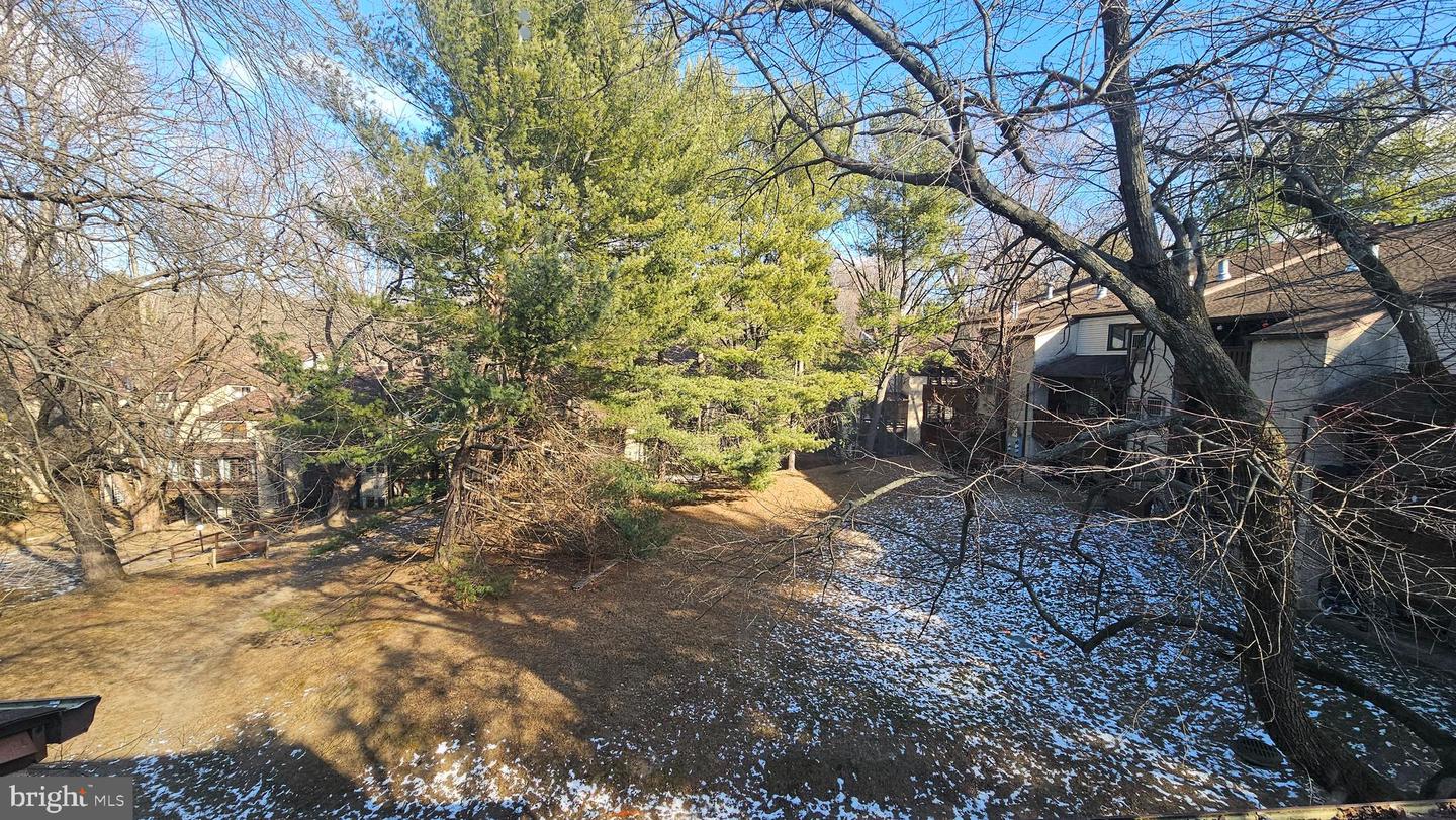 279 Shawmont Ave #b Property Photo 39