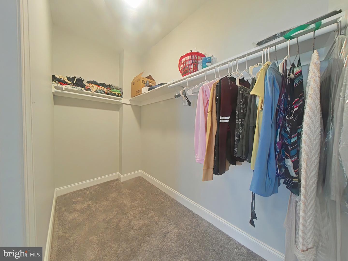 5724 Spruce St Property Photo 23