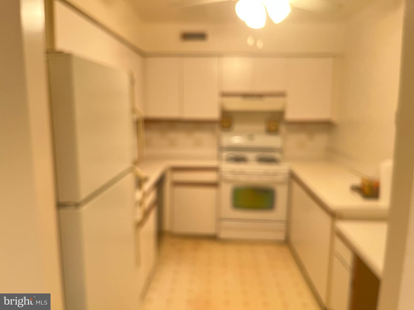 45301 Delaire Landing Rd #301 Property Photo 8