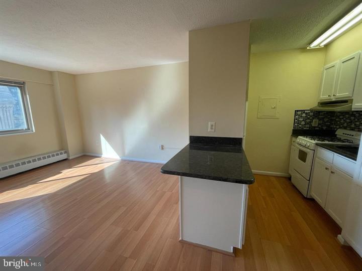 2101-17 Chestnut St #1413 Property Photo 1