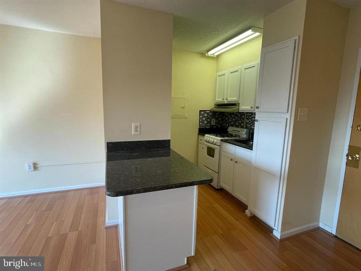 2101-17 Chestnut St #1413 Property Photo 3