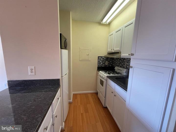 2101-17 Chestnut St #1413 Property Photo 5