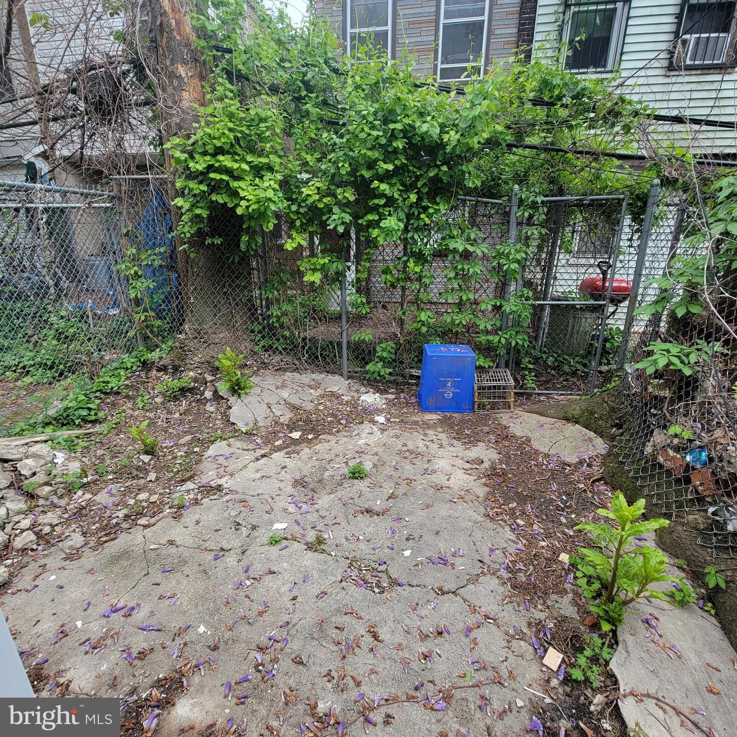 2525 N 12th St #1 Property Photo 11