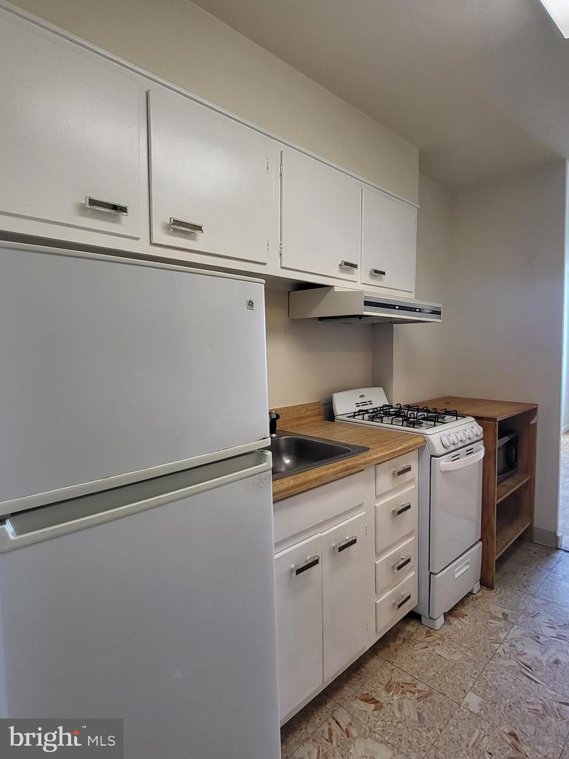 604-36 S Washington Sq #3013 Property Photo 4