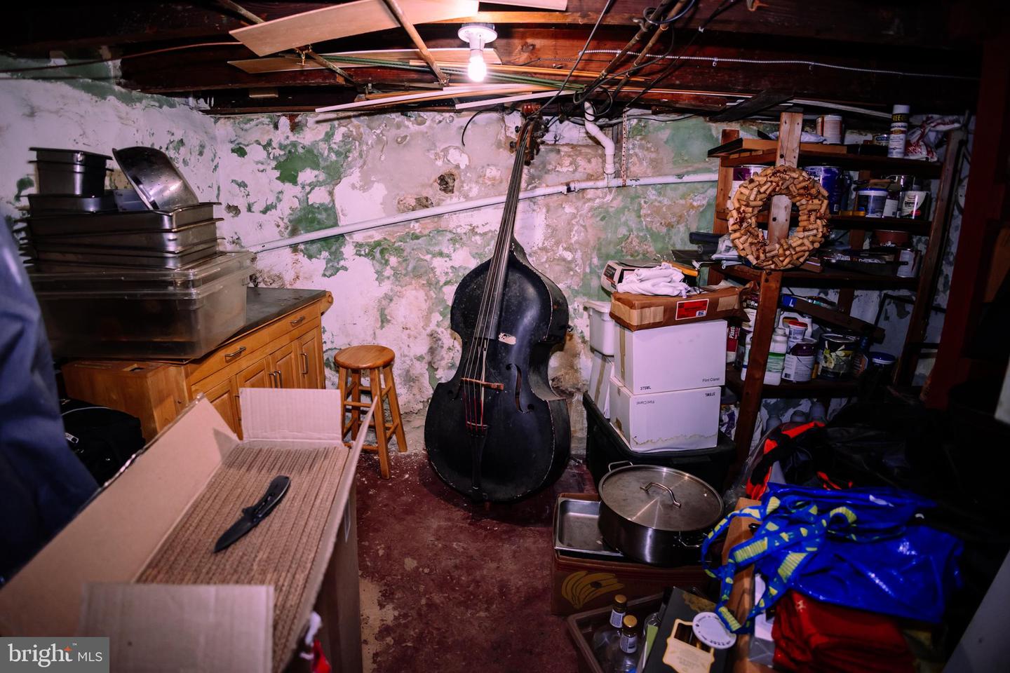 1135 Tree St Property Photo 40