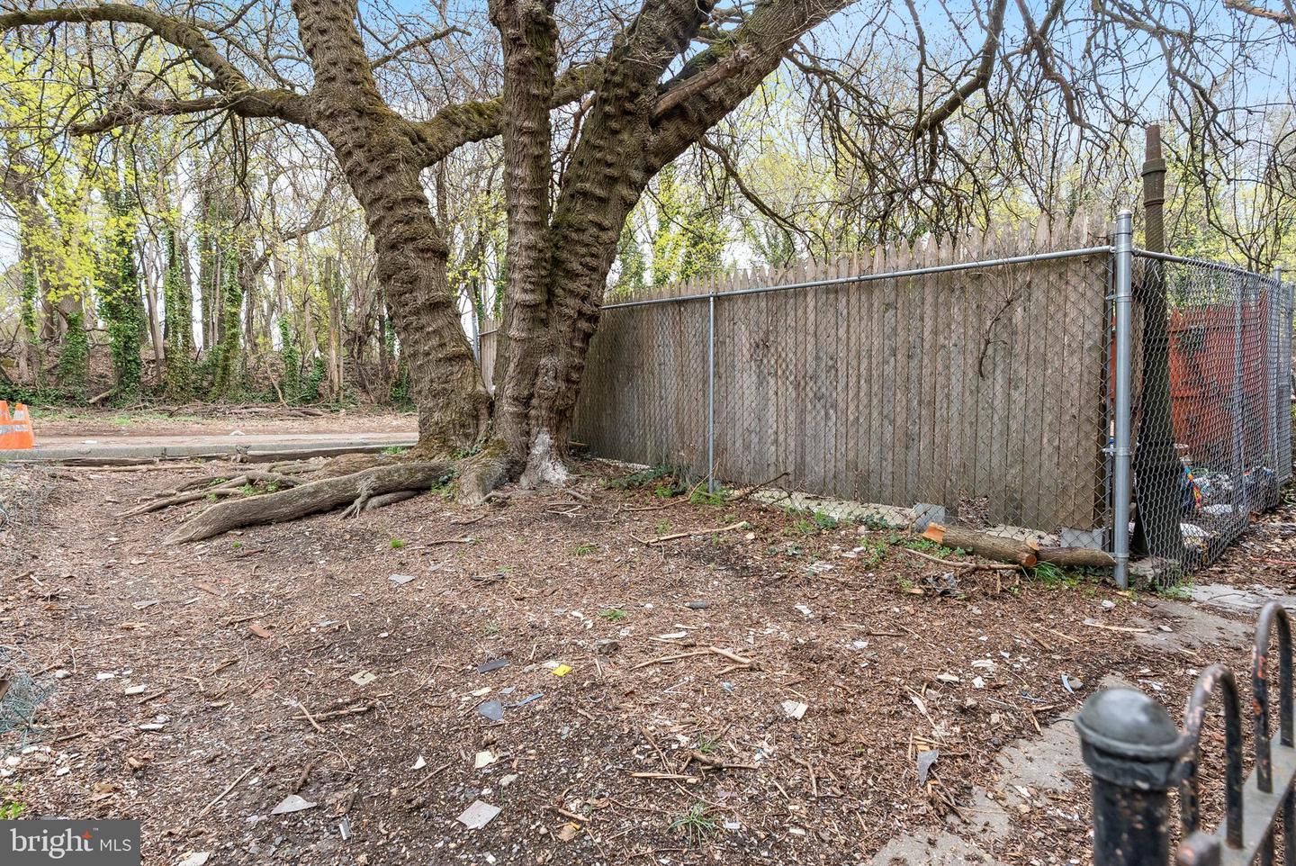 4836 Stenton Ave Property Photo 20