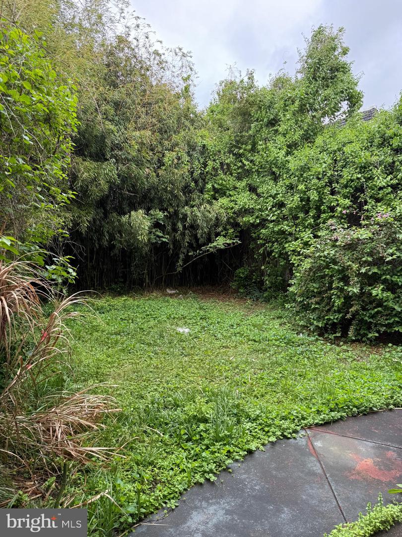 6210 Woodland Ave Property Photo 24